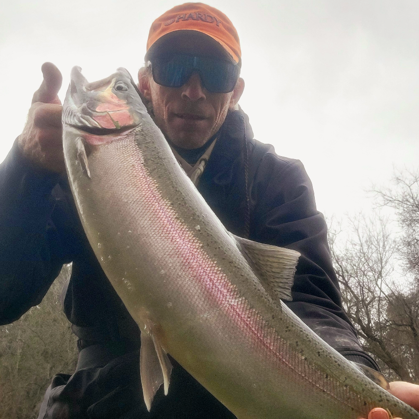 Fish Image